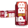 Mr Pibb Punchin' Peach 12oz 12pk