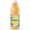 Tropicana 100% Pineapple Peach Mango Juice, 24 Bottles (10oz) -