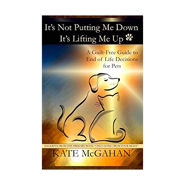 It's Not Putting Me Down It's Lifting Me Up: A