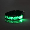 A4DOG LED Dog Collar, USB Rechargeable Light Up Collar, Night