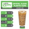 [100 COUNT] 10 oz Clear Plastic Disposable Pet Cups |