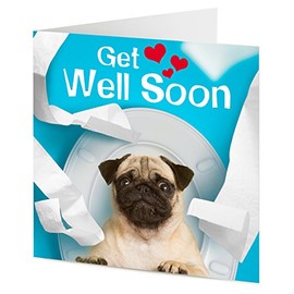 Funny poorly Pug dog sat on the toilet – Get well soon card