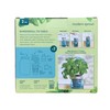 Modern Sprout’s Organic Herb Grow Kit (2 PACK) (Basil and