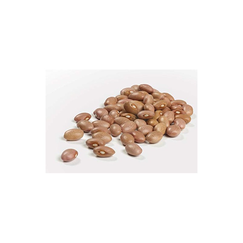 Camellia Brand Dried Pink Beans 1 Pound (Pack of 12)