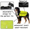 In Training Please Don't Approach/Ask Before Petting Me Dog Jacket