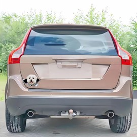 Car Sticker Maltese Sticker 15 cm (5.9 Inch) Maltese Reflective Sticker 3D Ripped Car Sticker Pet Dog Funny Sticker Maltese Car Sticker Funny Decor