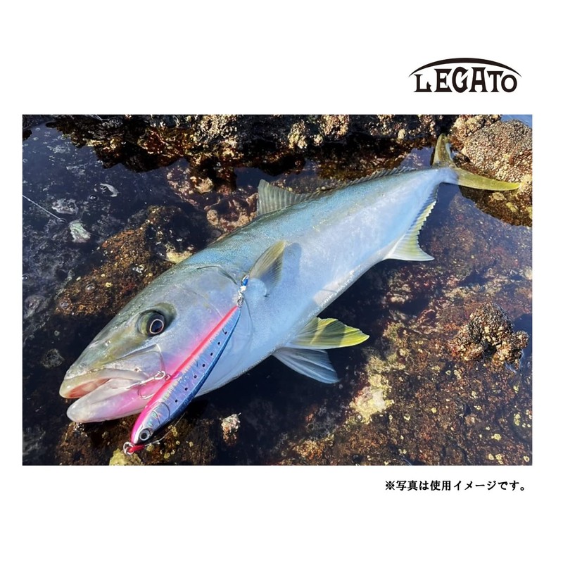 Maria Legato F165 B01H Sardine