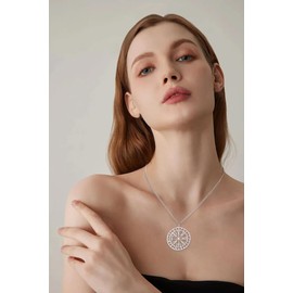Amaxer Vegvisir Compass Necklace for Women Stainless Steel Viking Amulet Nordic Vegvisir Rune Talisman Charm Jewellery Pendant Necklace for Women, Stainless Steel, No