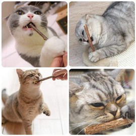 5pcs Cat Catnip Sticks, Matatabi Cat Sticks Dental Stick Dental Care Catnip Sticks Toys Chewing Cleaning Teeth Molar Chew Toy for Cat Kitten Kitty