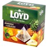 Loyd Fruit Tea Pineapple & Pear Flavored, 20 teabags (Pack