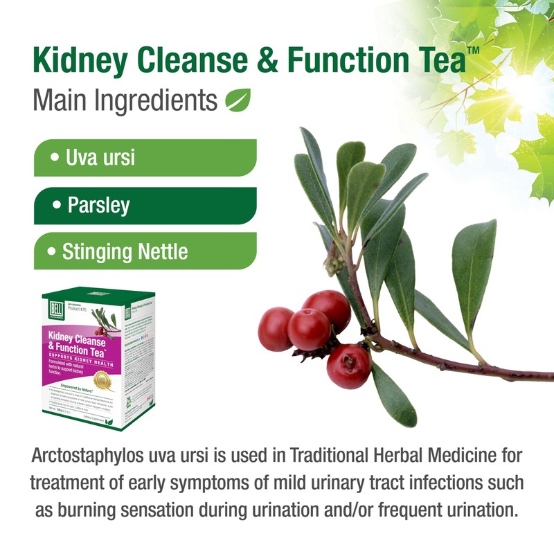 Bell Kidney Cleanse & Function Tea by Bell Lifestyle Products