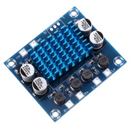 LABRIMP Amplifier Board Stereo Module with Volume Control Compact Design for Easy Installation and Audio Playback for Connections and Portable Use