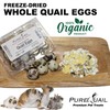 Freeze Dried Organic Quail Egg Topper for Dogs or Cats