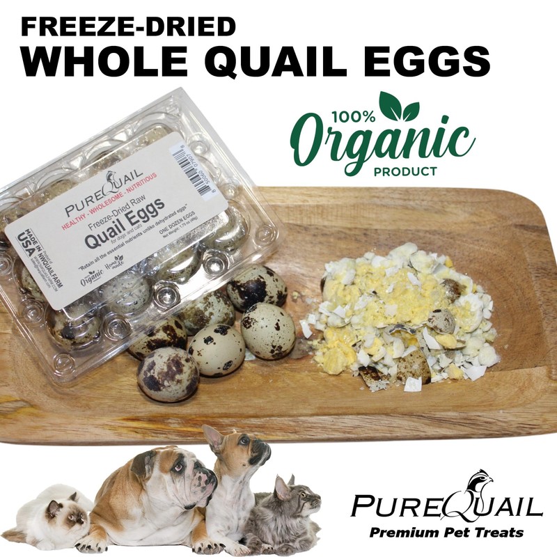 Freeze Dried Organic Quail Egg Topper for Dogs or Cats