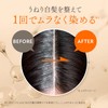 PRORY Prory Repair Color Treatment 150g Dark Brown for Wavy