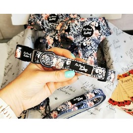 Toucan Dog Collar XS