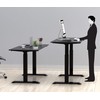 SHW Electric Memory Preset Height Adjustable Computer Desk, 48 x