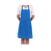 WS Accessories 2 Pocket Apron 60x70cm - Ideal for kitchen, home and garden use [Sky Blue]