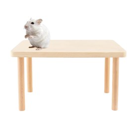 LONZIKP Piattaforma per Criceti Piccola in Legno - Robusta Struttura per Arrampicata & Gioco, Accessorio Naturale che Amplia l'Habitat e Stimola l'Attività per Hamster Nani & Piccoli Animali