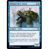 Mistford River Turtle - Foil