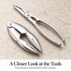6-Piece Stainless Steel Seafood Tool Set – Crab & Lobster