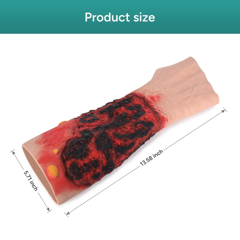 MedEduQuest Burn Wound Packing Trainer, Simulated Burn Wound Model for