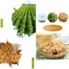 Mkostlich Dried Soy Strips, 1.10Lb Soy Beans Strips, Chinese Soybeans