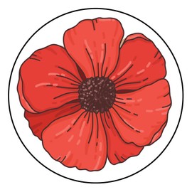 Pack of 18 Remembrance Day Stickers (65 mm) Waterproof Clear Poppy Stickers for Car, Windows, Door, Van, Mirrors etc. Packwith® #P3689