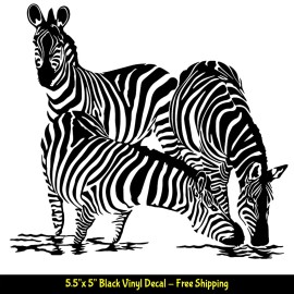 Signage Cafe Zebra Cool Trio 5.5" x 5" Black Vinyl Decal Car Windows Laptop Tablet