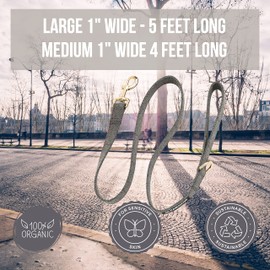 Pawsitive Wool Dog Leash (Gray, L)