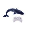 RC Shark Water Toy for Kids’ Pool Play – Remote