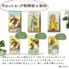 After Tarot FLATLAND Tarot Divination, Japanese Instruction Manual Included, Genuine