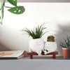 Meltset Cute Face Planter Pot - Funny Double Head Planter