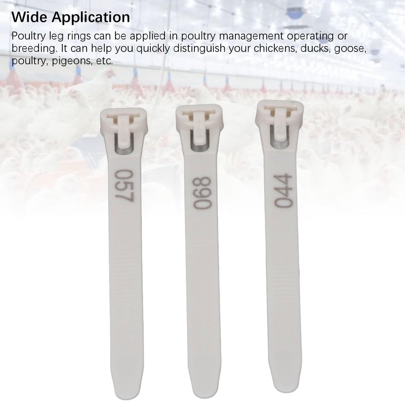 Generic Chicken Leg Rings, 1 to 100 Numbered Poultry Identification