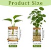 Plant Propagation Station Glass Planter Terrariums with Wooden Lid