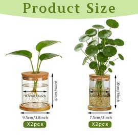 Plant Propagation Station Glass Planter Terrariums with Wooden Lid