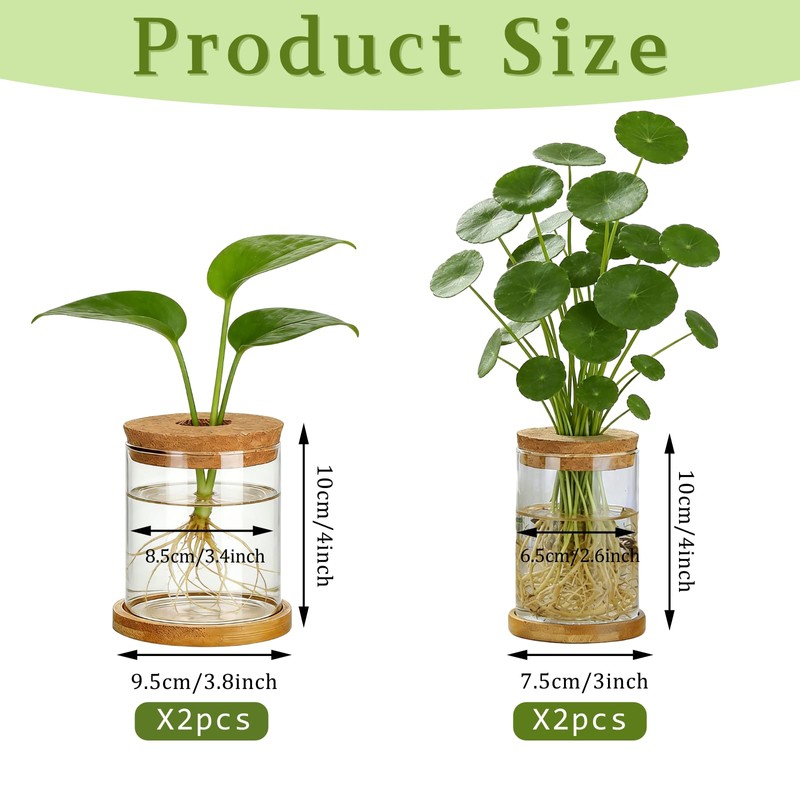 Plant Propagation Station Glass Planter Terrariums with Wooden Lid