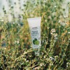 Yuanjae Shea Butter Hand Cream Lemon Lime, 27g, 1 piece