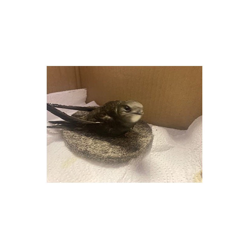 Chimney Sheep Wool Nest Liners for Pigeons and all Pet
