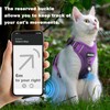 Cat Harness and Leash for Walking, The Upgrade Can be