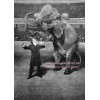 Harry Houdini PHOTO Magician Magic Vanishing Elephant 1918