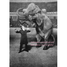 Harry Houdini PHOTO Magician Magic Vanishing Elephant 1918