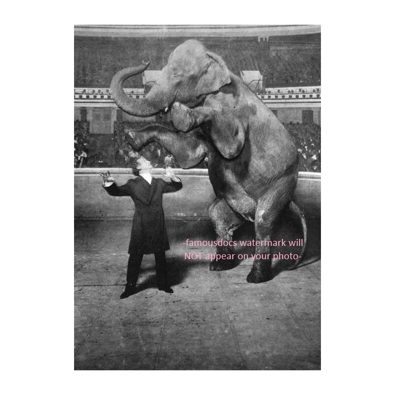 Harry Houdini PHOTO Magician Magic Vanishing Elephant 1918