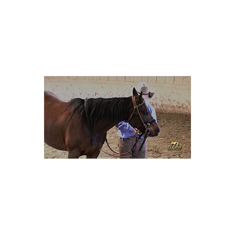 Monty Roberts 5" Thick Copper & Black Iron Horse Snaffle