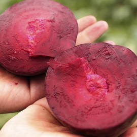 늘해찬 국산 제주 레드비트 가루 분말 300g Neulhaechan Korean Jeju Red Beet Powder 300g