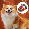 Dog Sun Hat with Ear Holes, Rainbow Dog Baseball Cap