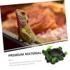 VICASKY Decorative Resin Reptile Bowl Natural Water Food Dish for