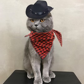 Bettli Dog Cowboy Hat Cat Mexican Hats Mini with Bandana Party Hats for Small Pets Puppy Cat