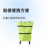 Lightweight Waterproof Foldable Shopping Cart with Wheels Foldable Cart with Wheels and Pull Handle - Green 5ea