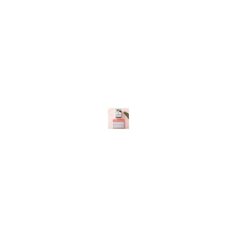 30pcs Labiales Lana Del Rey Juego De Lápiz Labial Mate